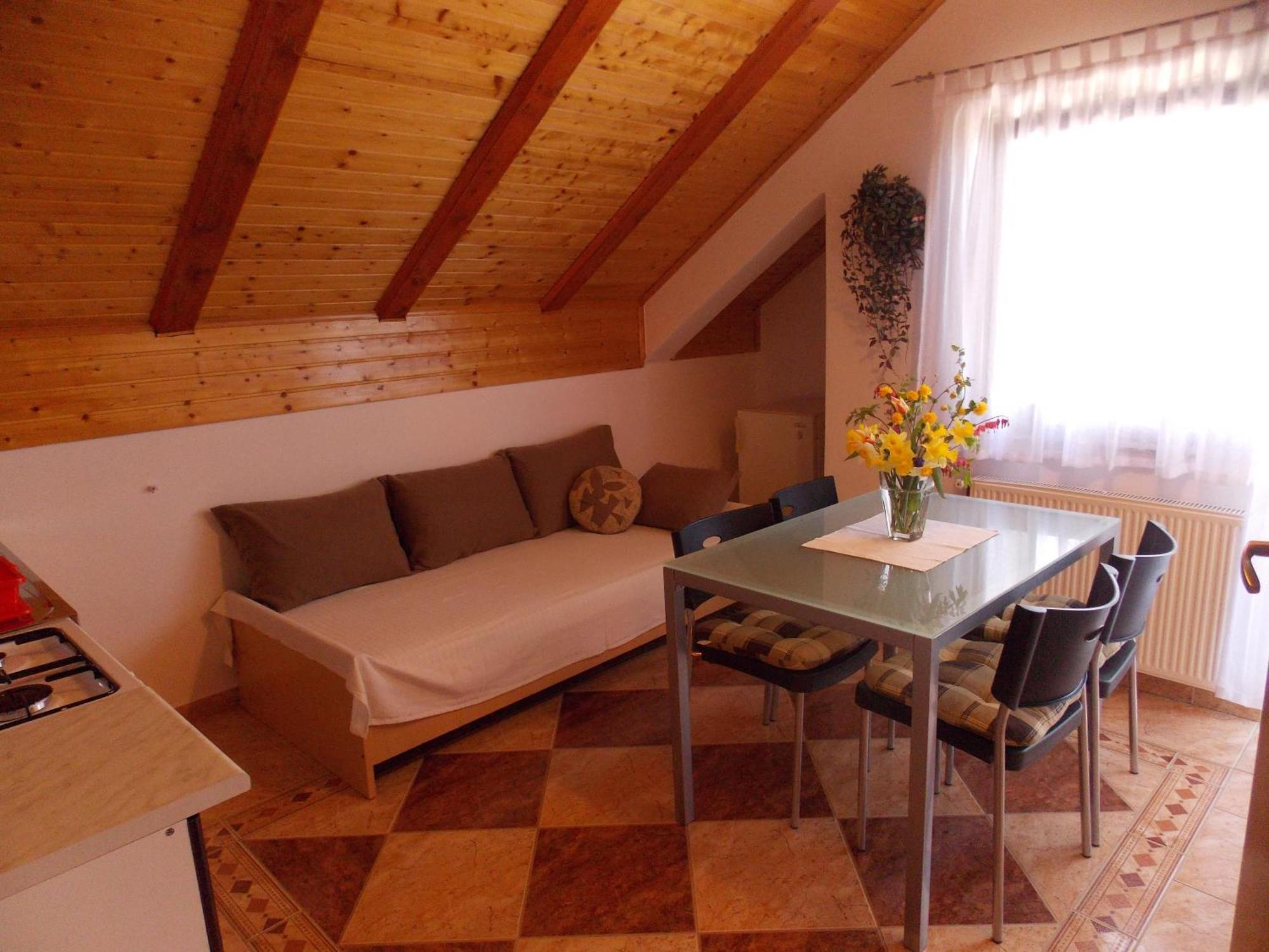 Apartments Smirnov Drežnik Grad Pokoj fotografie