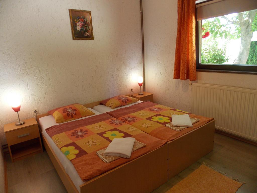 Apartments Smirnov Drežnik Grad Pokoj fotografie