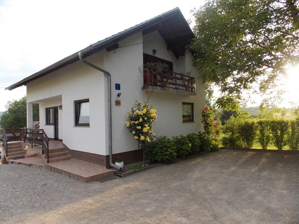 Apartments Smirnov Drežnik Grad Exteriér fotografie