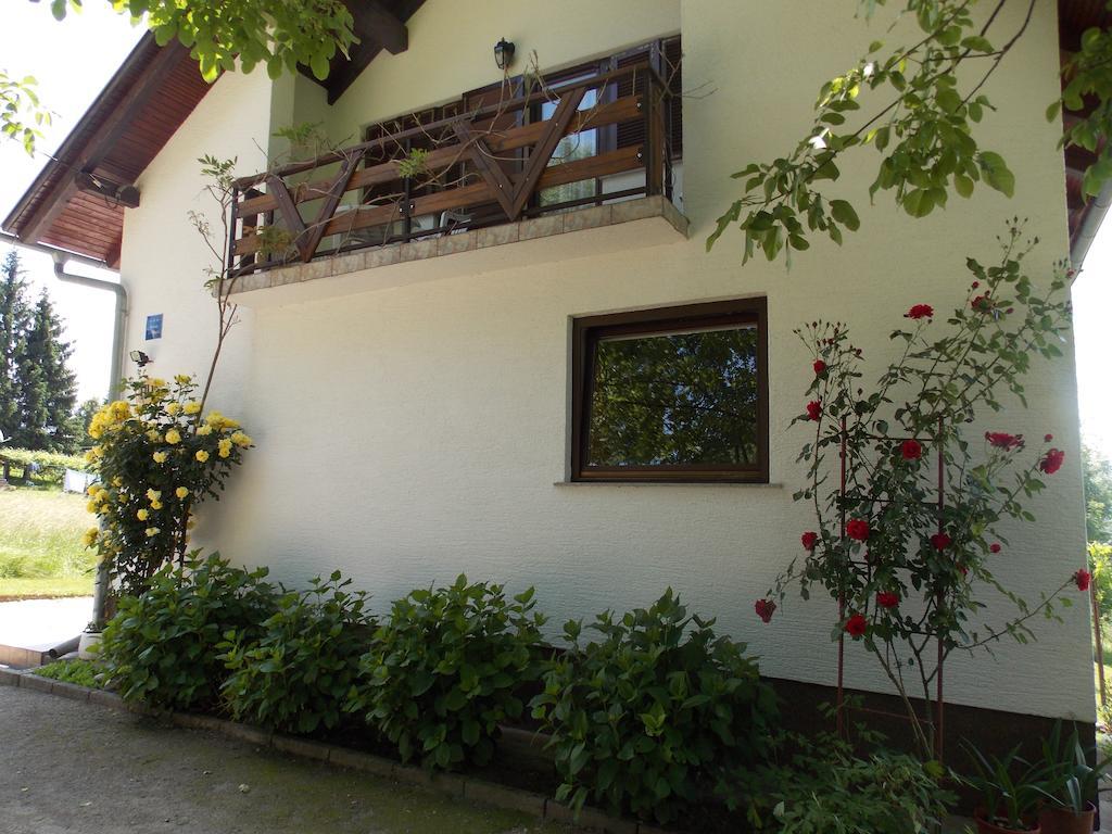 Apartments Smirnov Drežnik Grad Exteriér fotografie